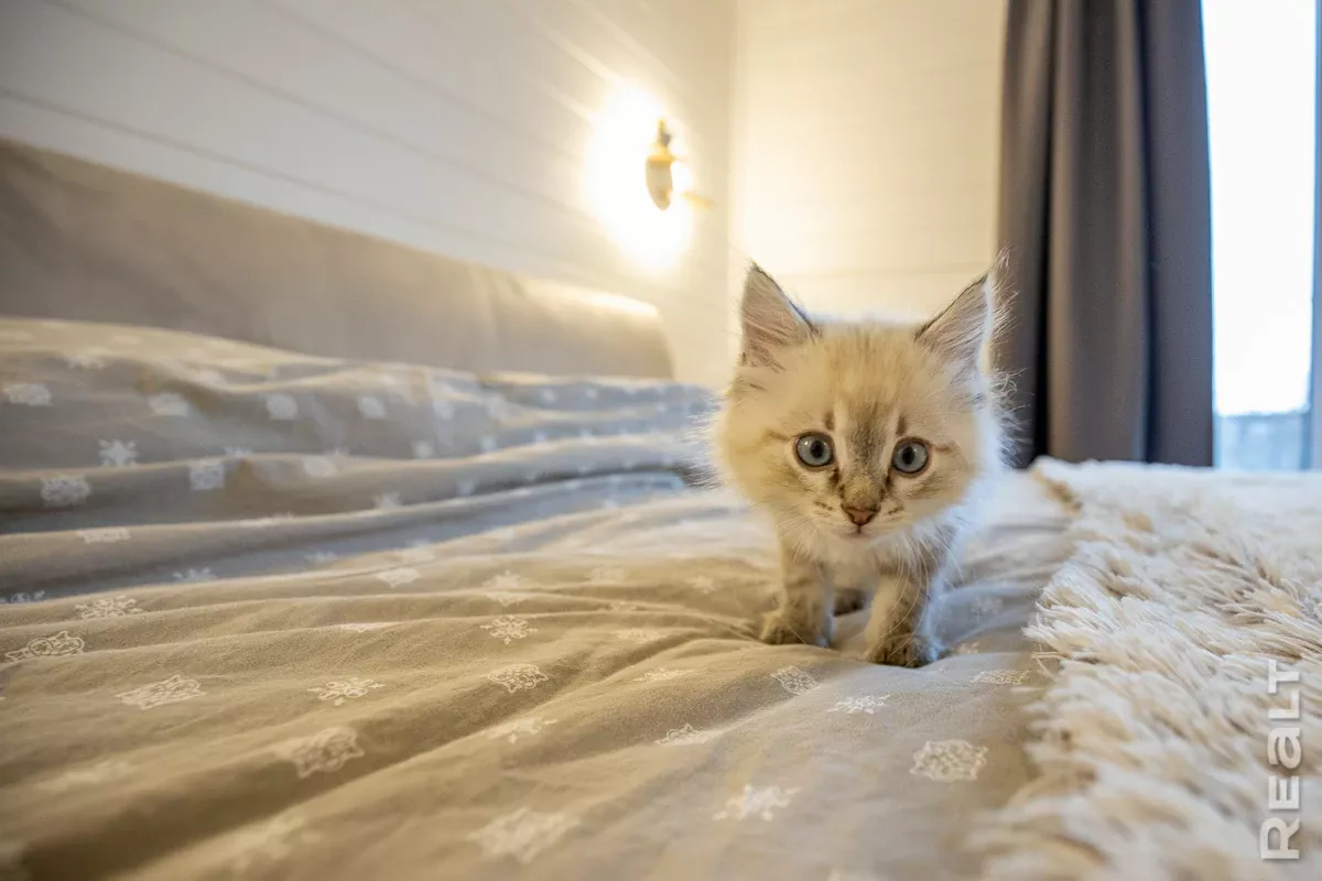 barnhaus-cena-dlya-postoyannogo-prozhivaniya