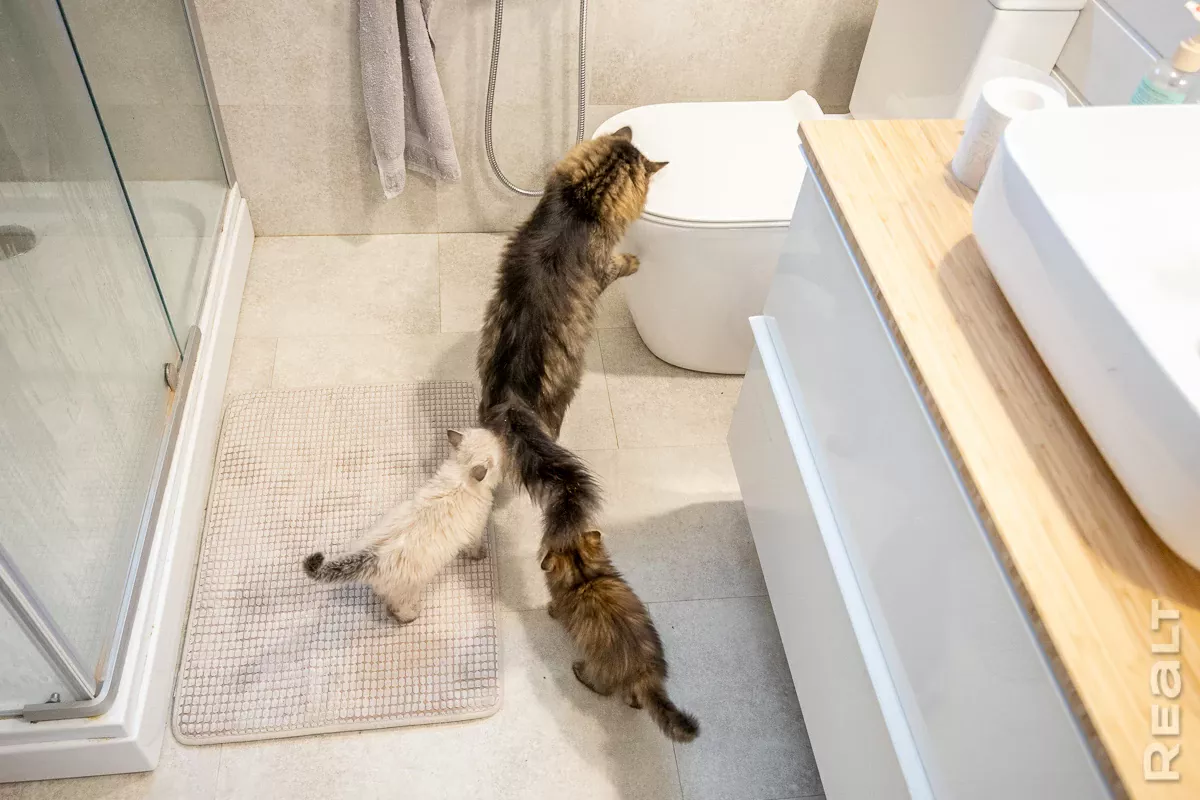 doma-barnhaus-kupit-pod-klyuch